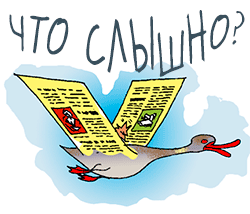 Что слышно?! Что слышно?!